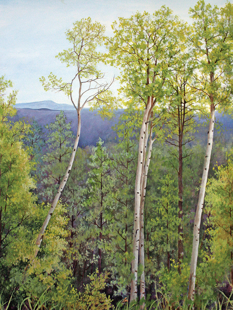 Arte de la lona de Aspen del camino forestal