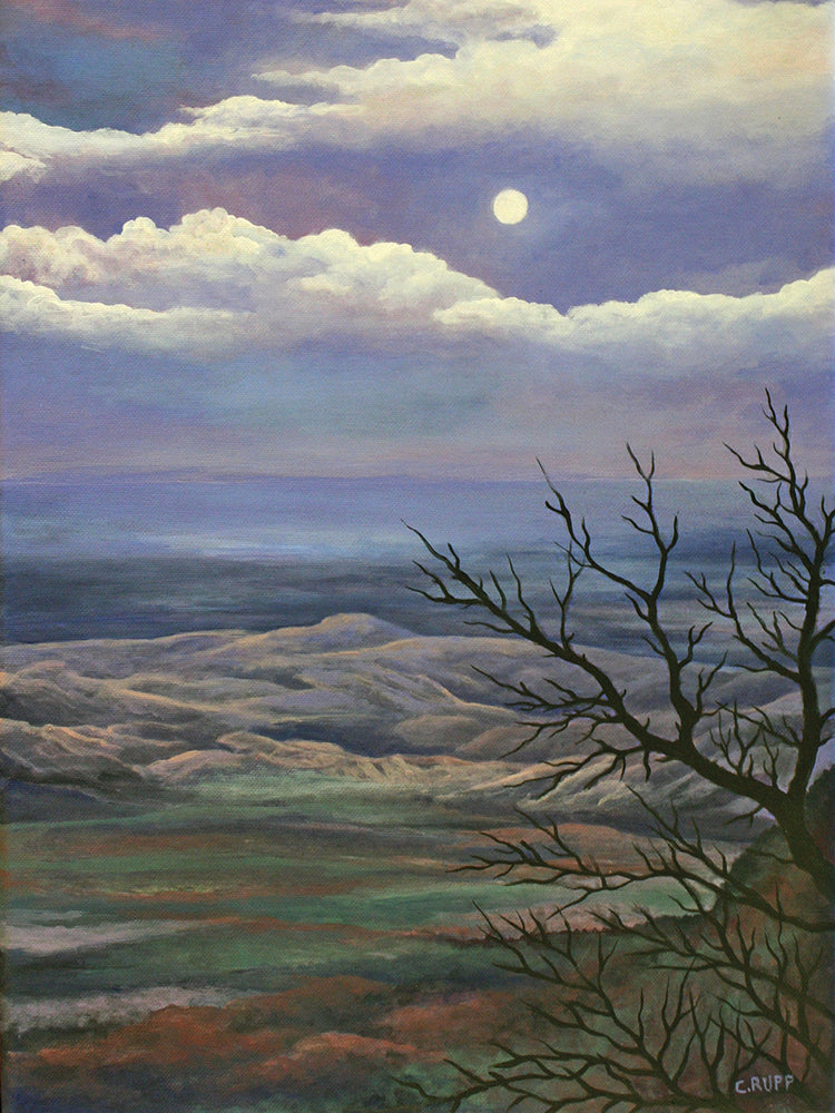 Arte de la lona del paisaje lunar