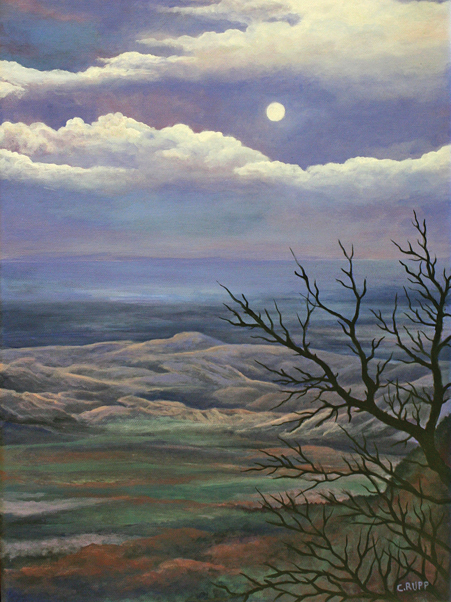 Arte de la lona del paisaje lunar