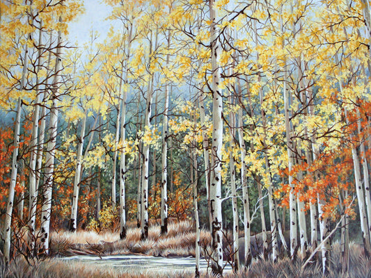 New Aspen Grove Canvas Art