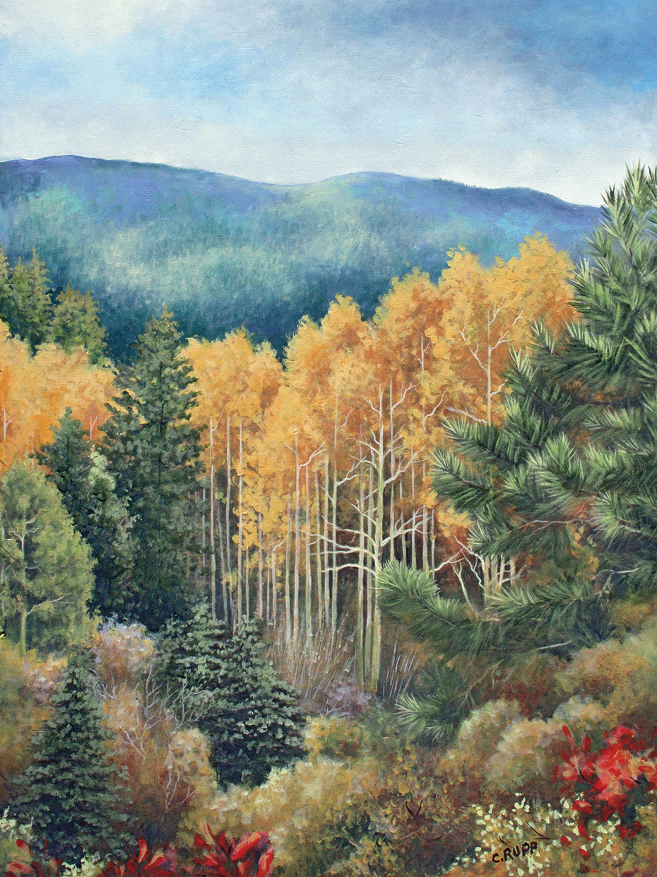 The Colors of Fall