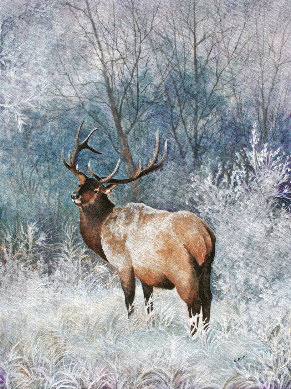 Arte de la lona de Frosty Morining
