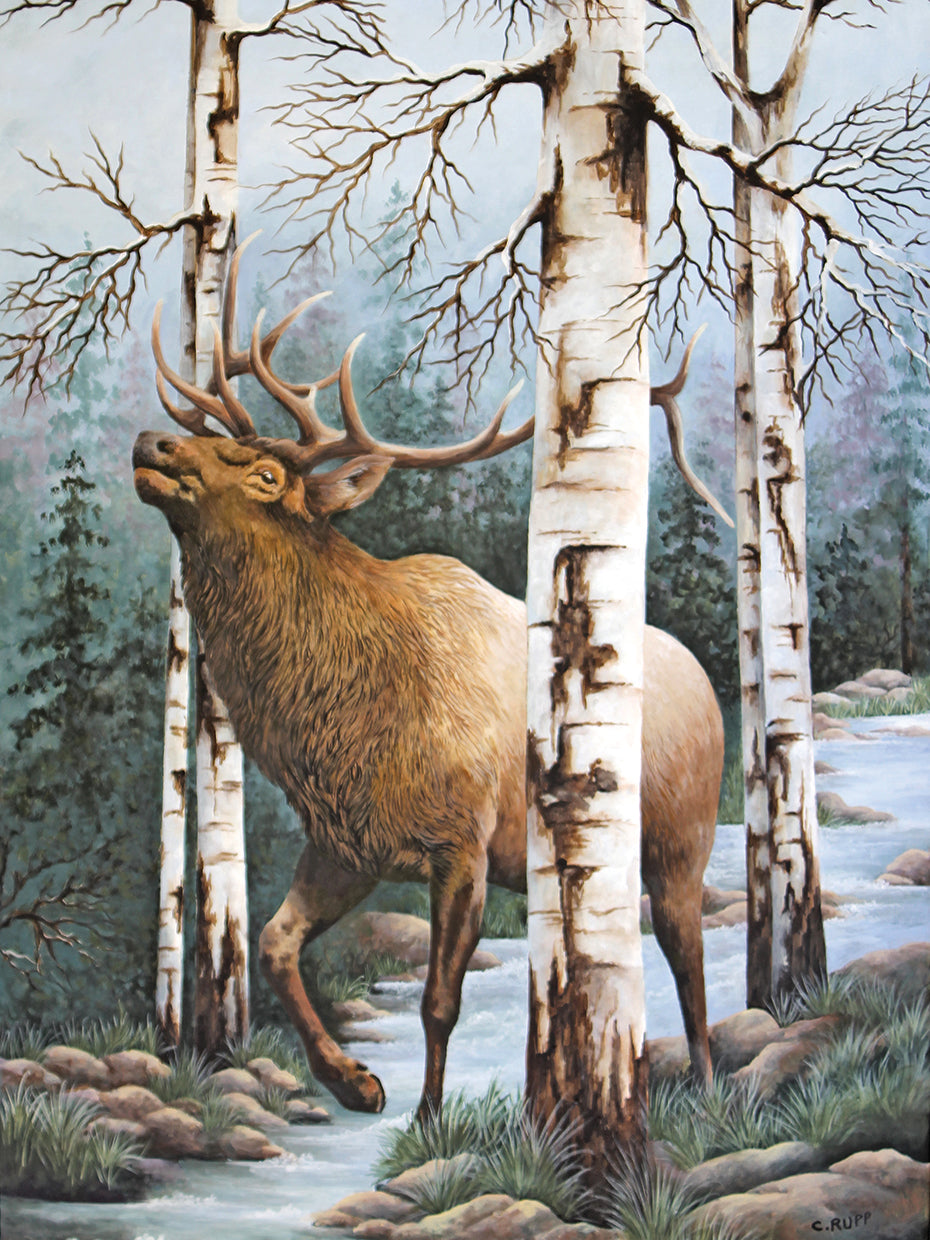 Majestic Elk