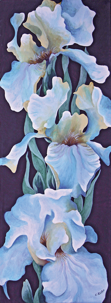 Blue Iris