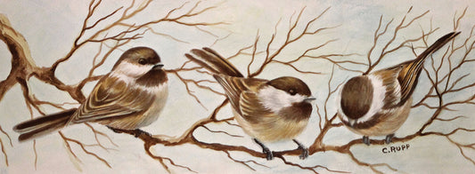 Chickadee Trio 4 Canvas Print