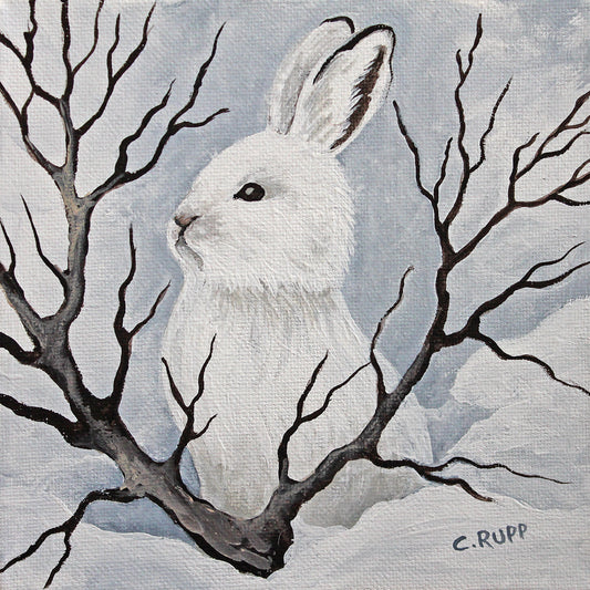 Snowshoe Rabbit 3 Canvas Print