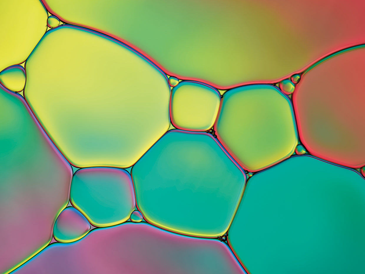 Stained Glass I