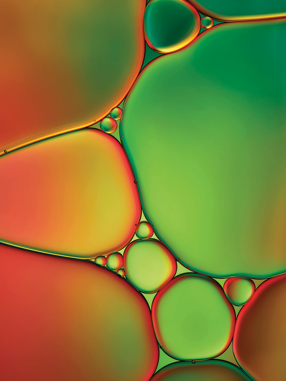 Stained Glass II