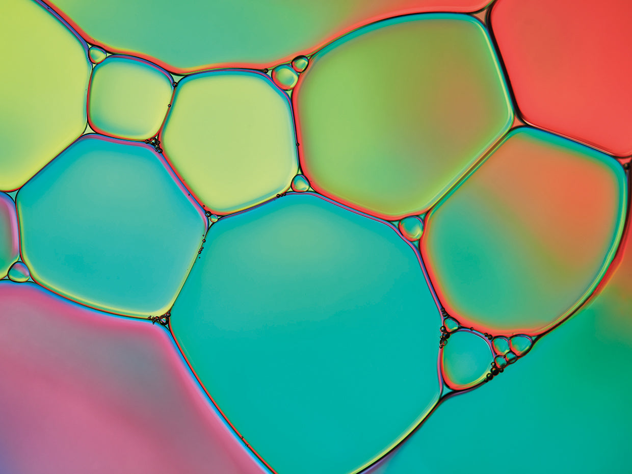 Stained Glass III