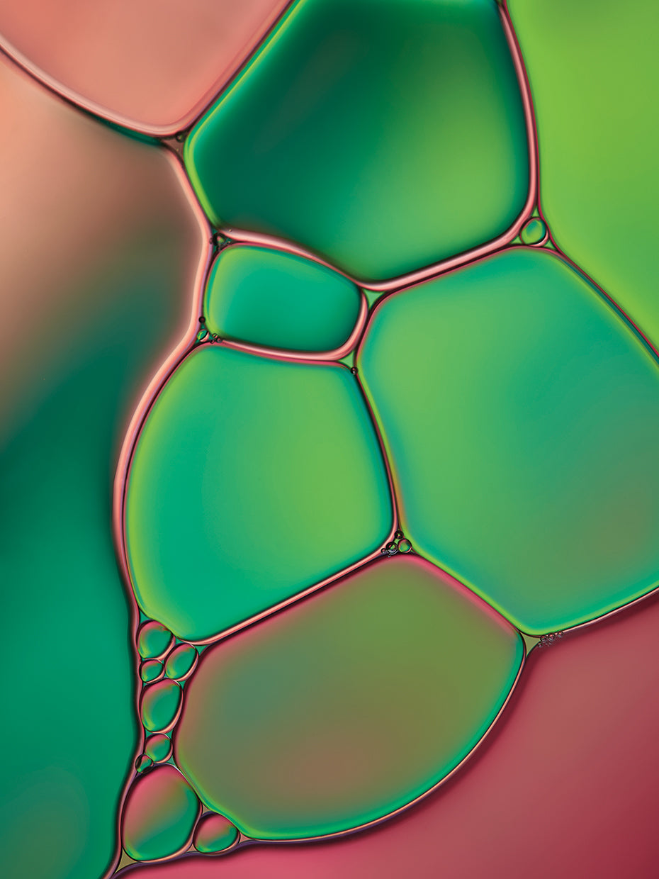 Stained Glass V