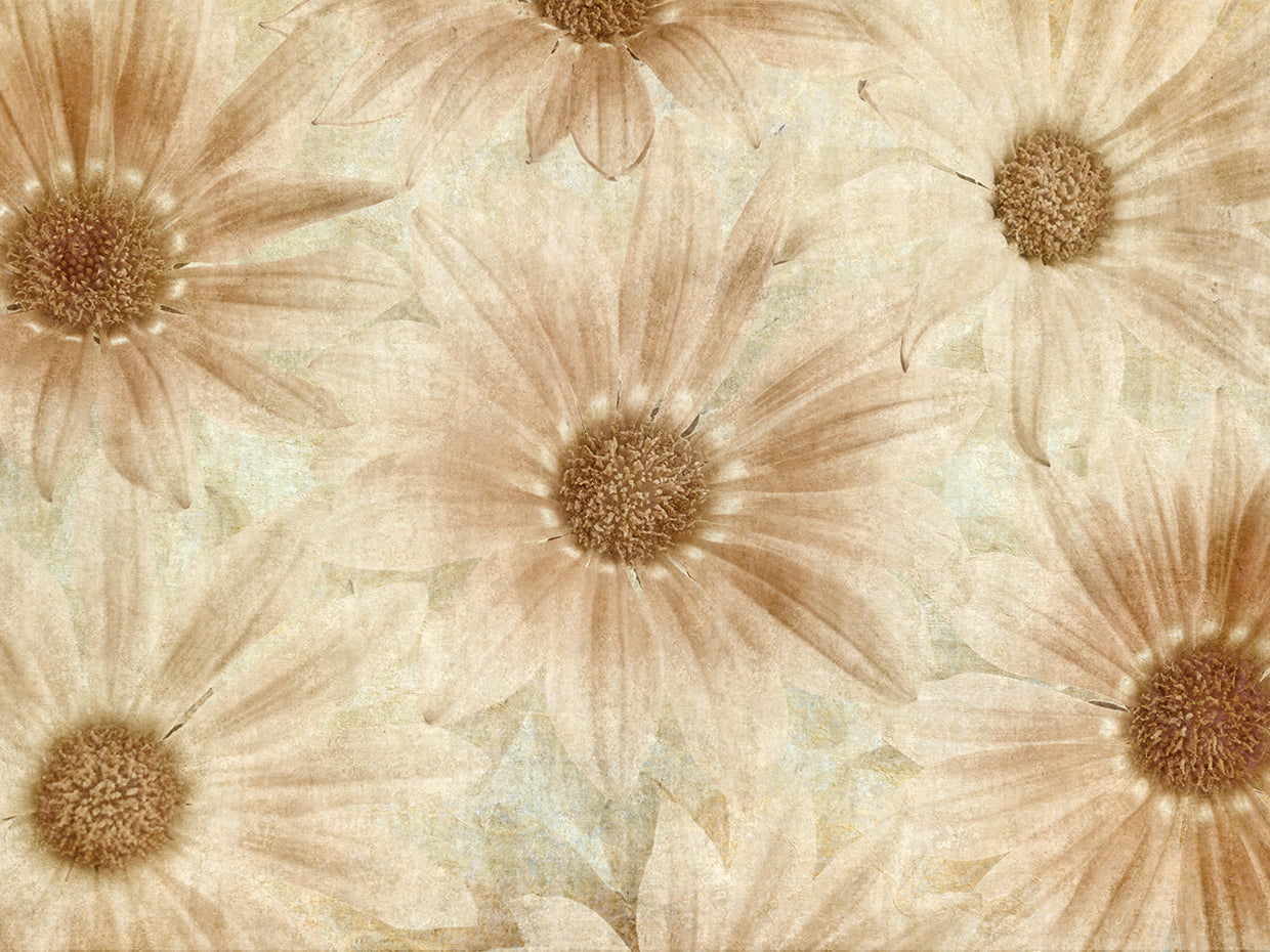 Vintage Daisies