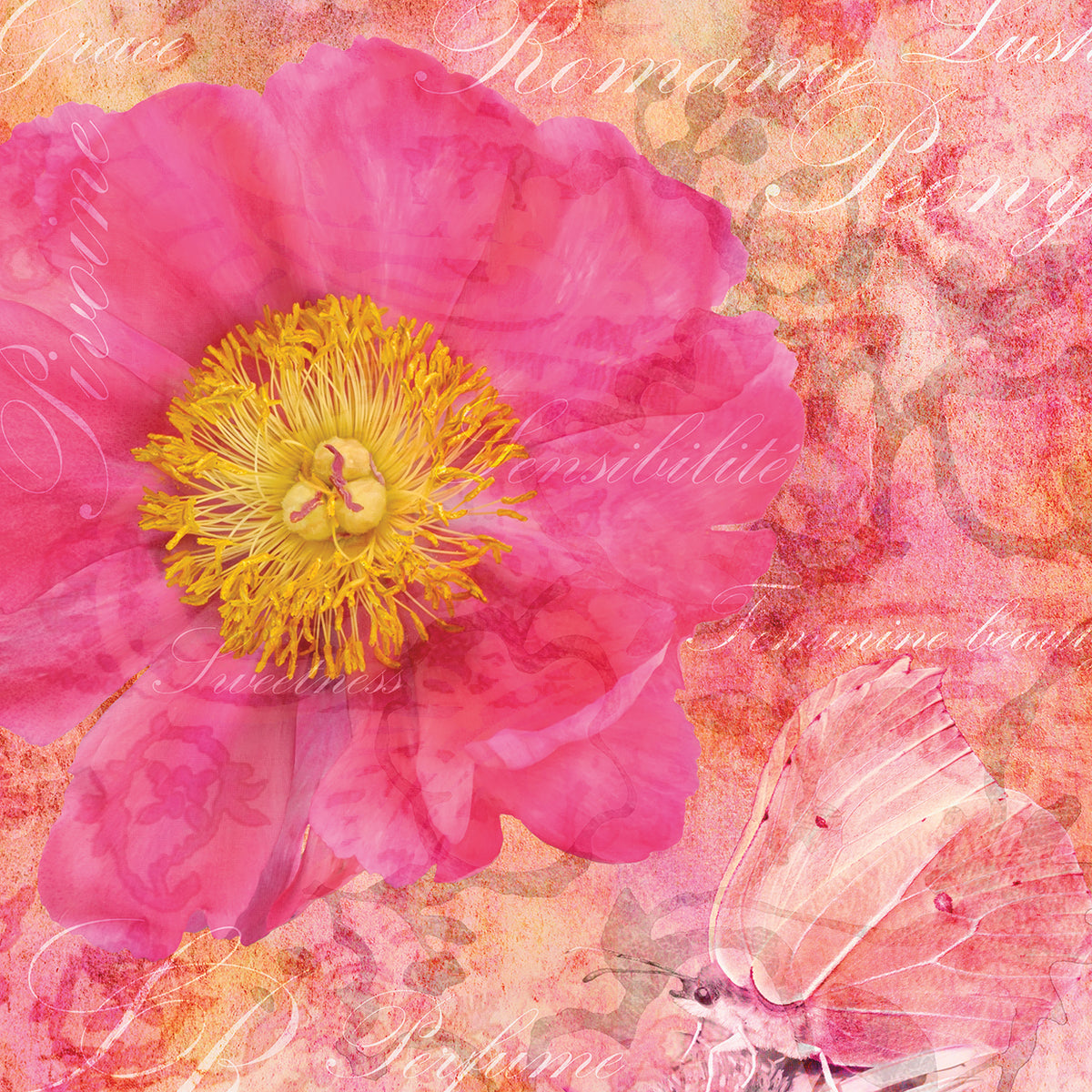 Peony - Feminine Beauty