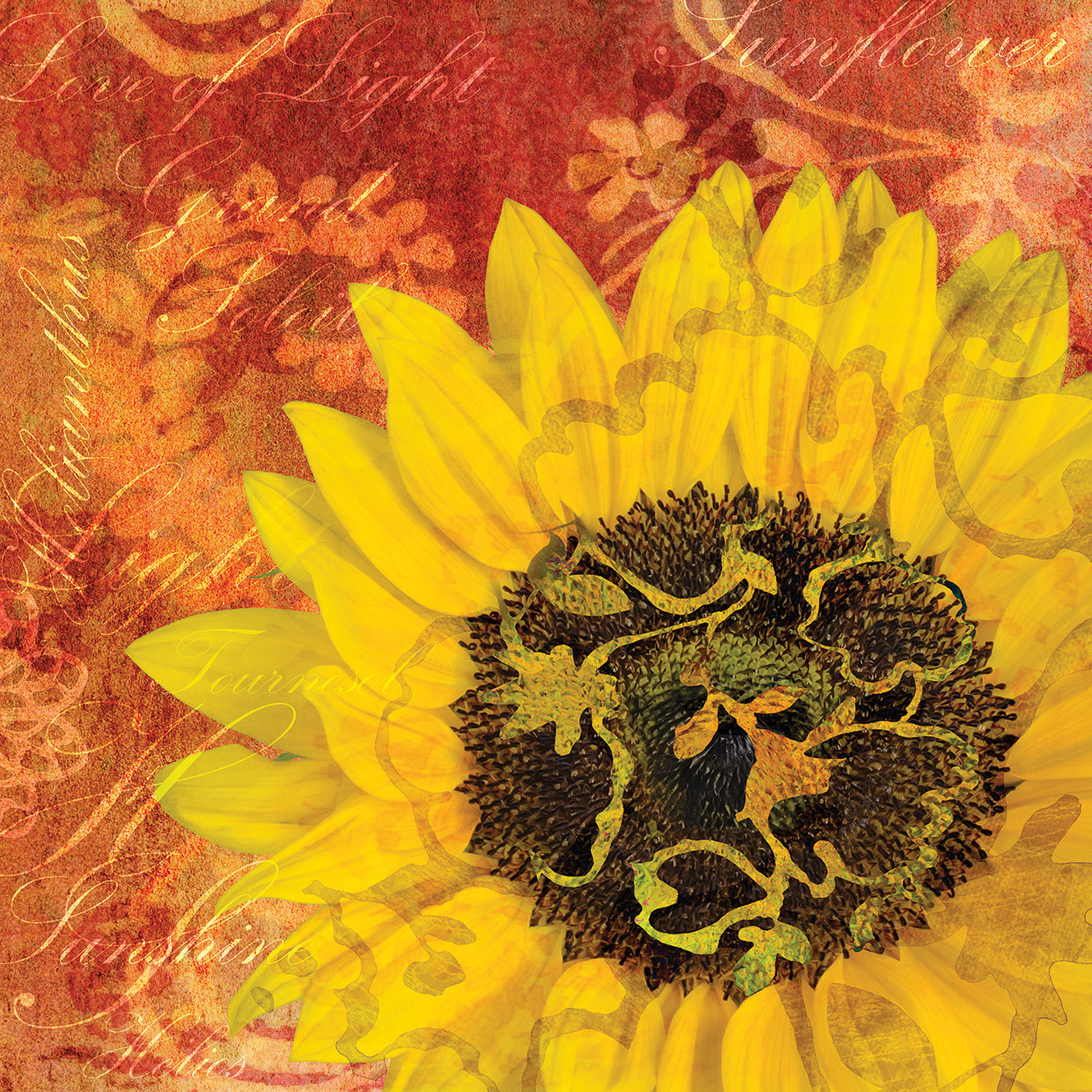 Sunflower - Love of Light