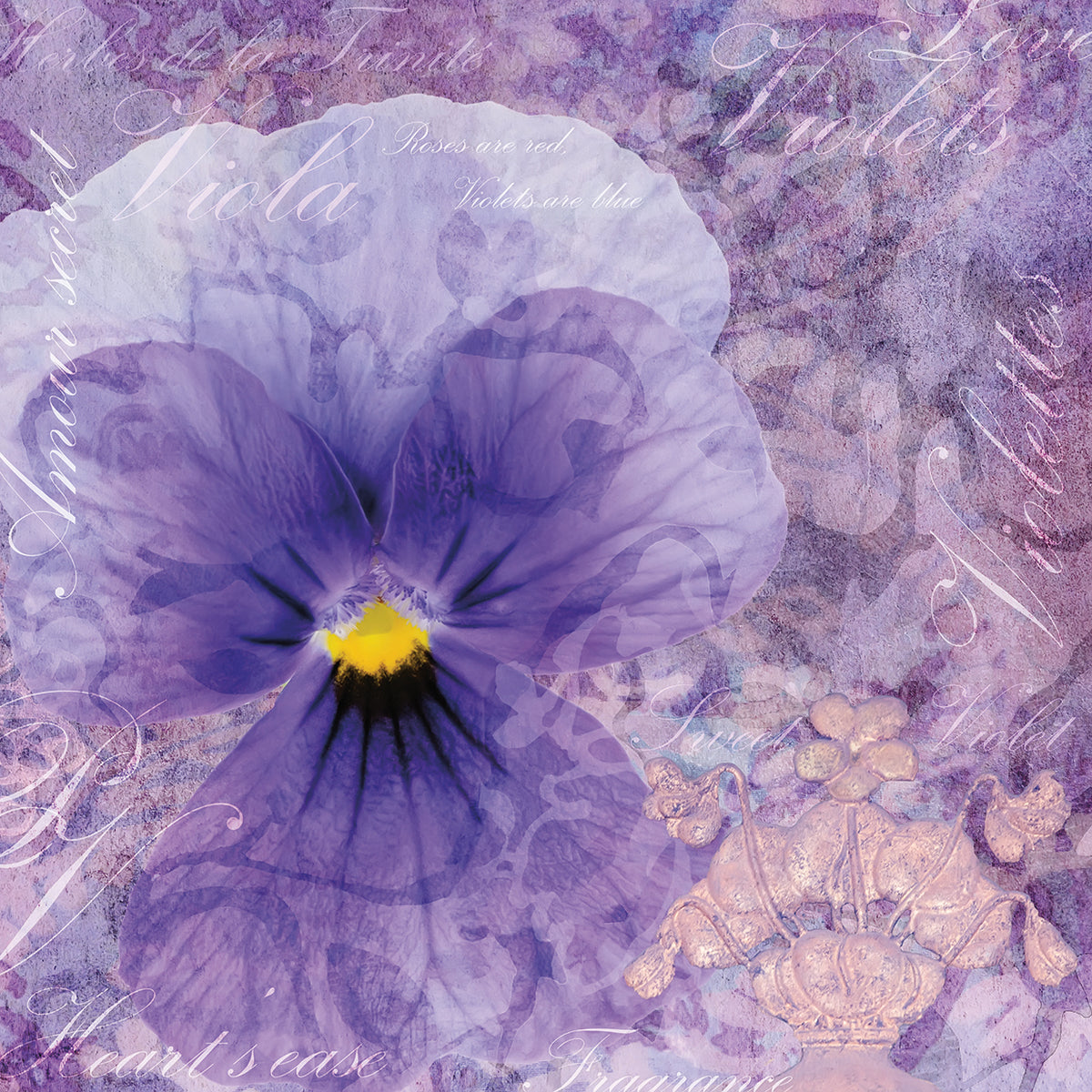 Viola - Secret Love