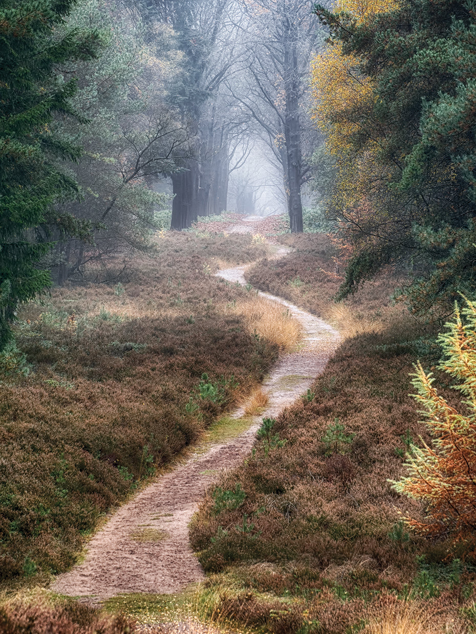 Hiking Trail