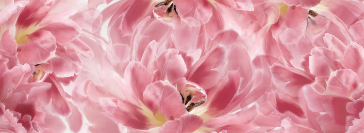 Lienzo con paisaje de tulipanes rosas