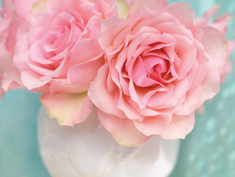 Arte de la lona del ramo de rosas rosadas