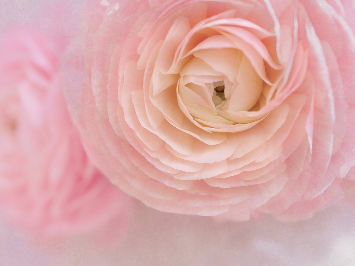 Soft Pink Flower Bouquet