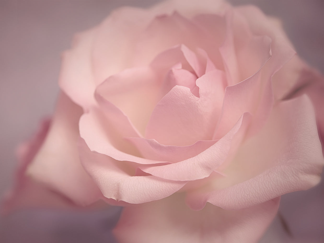 Tenderness