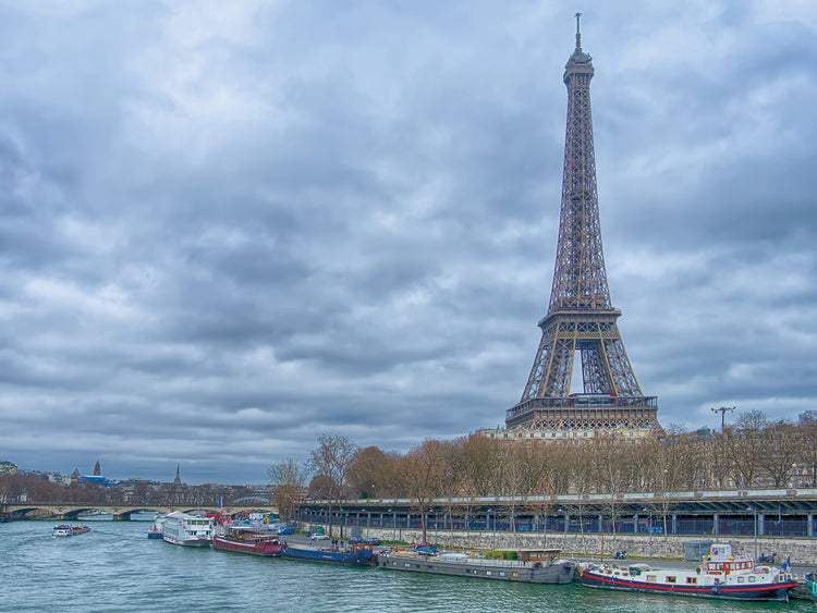Cuadro Torre Eiffel y Sena en París