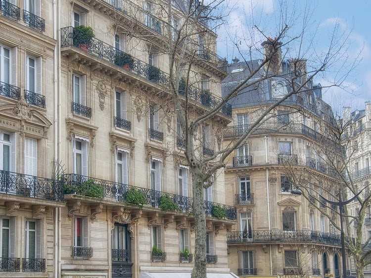 Paris' Apartement Buildings
