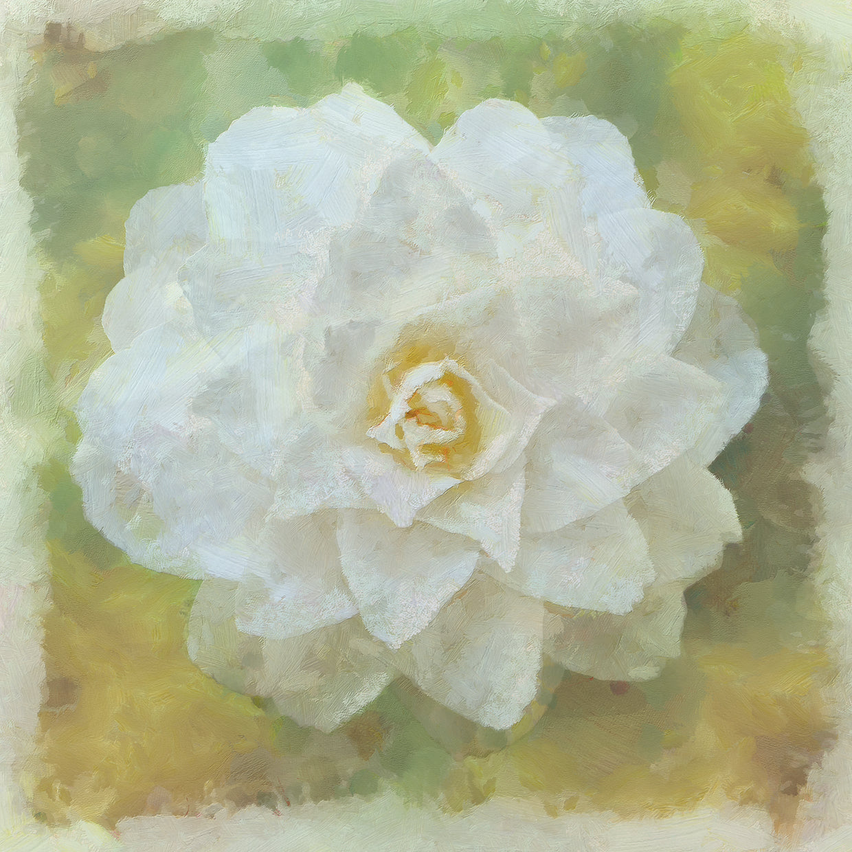 Camelia White