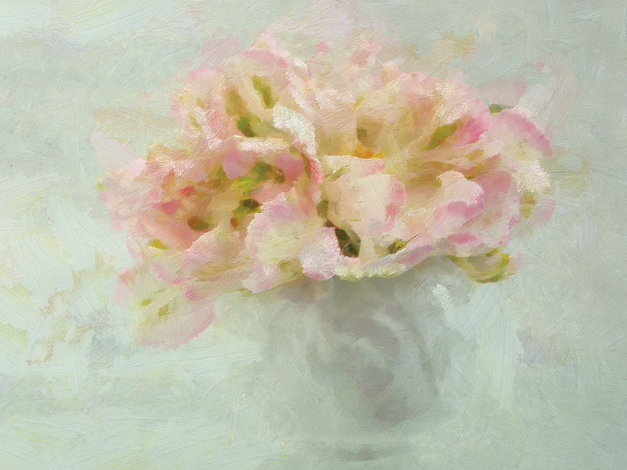 Parrot Tulips