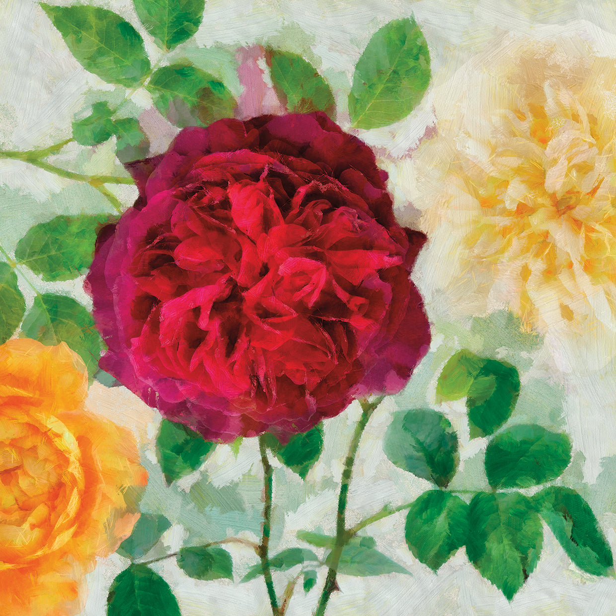 Peonies and Roses II