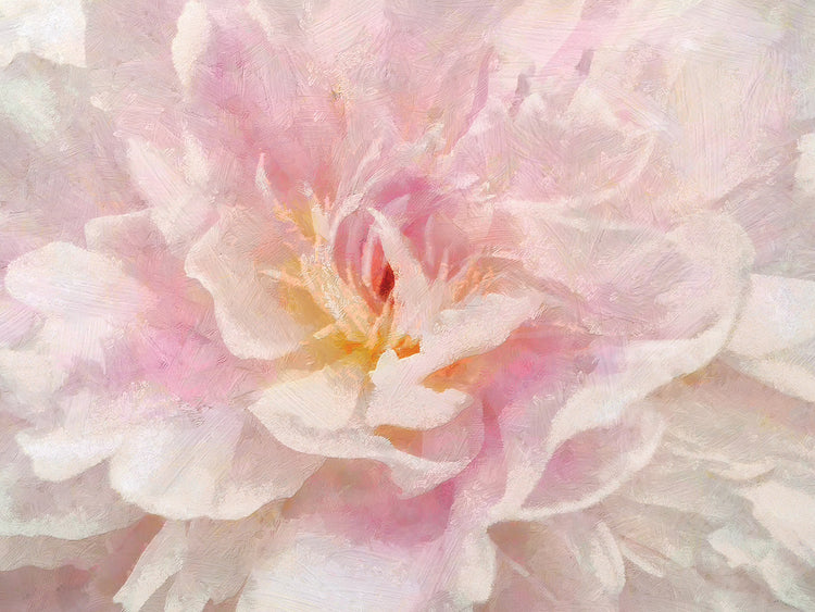 Arte de lienzo de peonía rosa