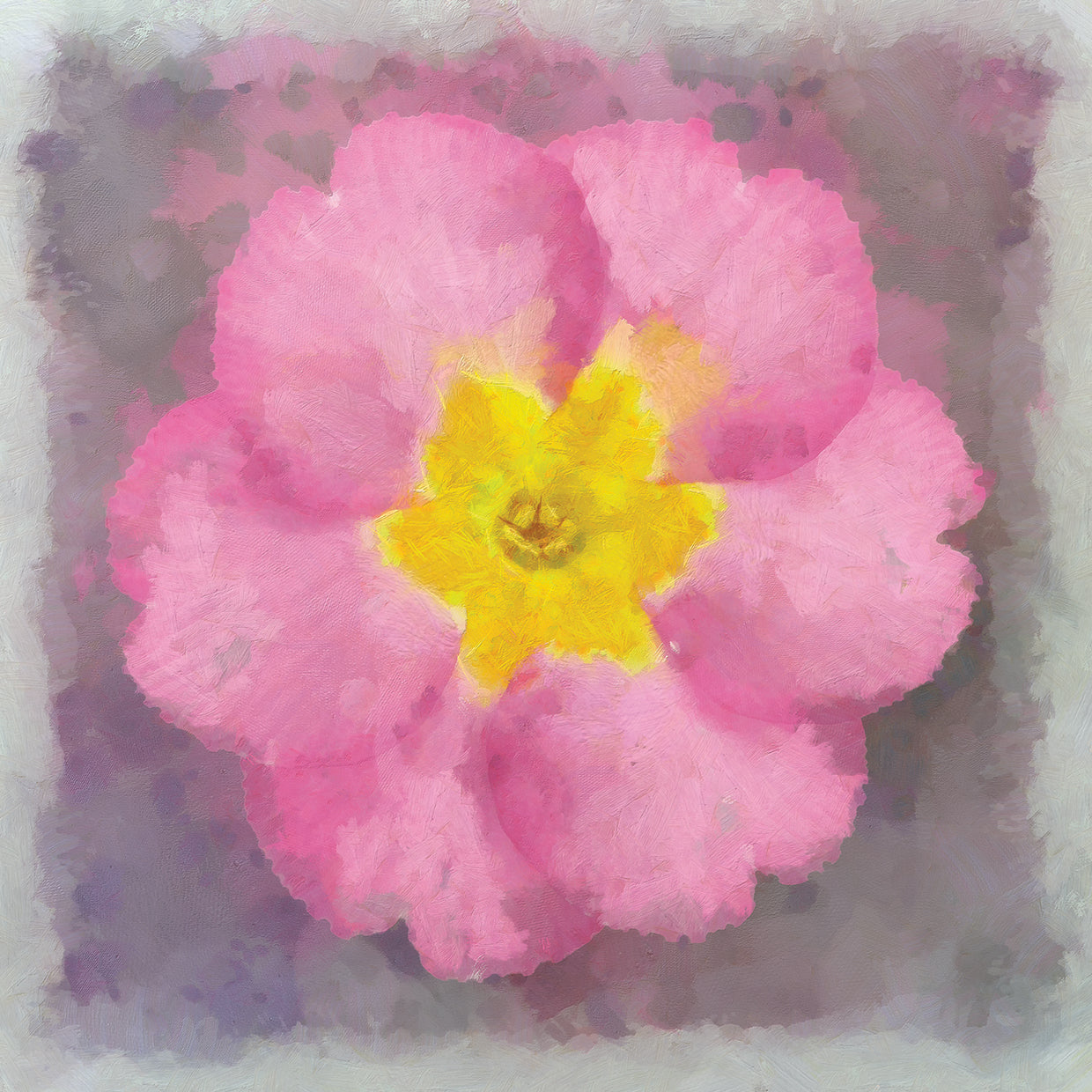 Primrose Pink