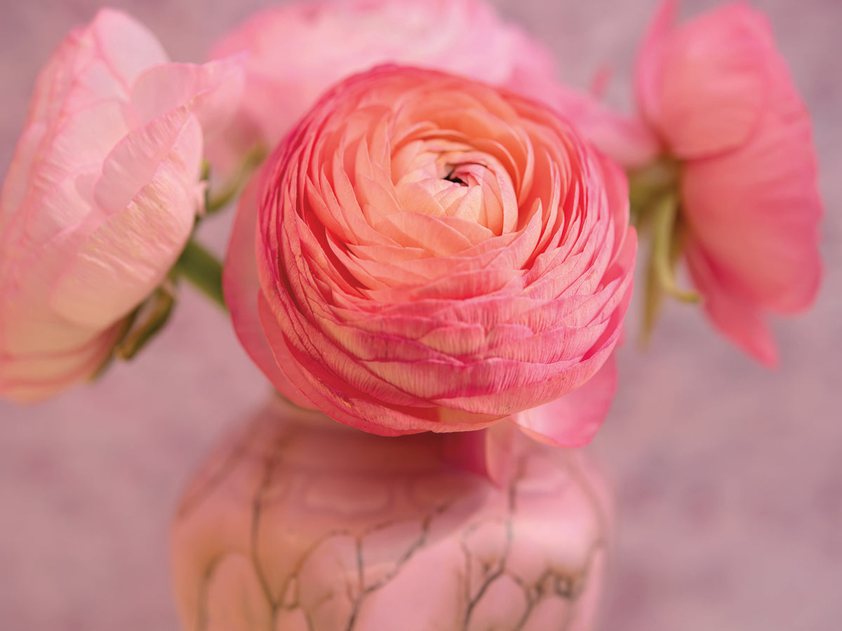 Small Flower