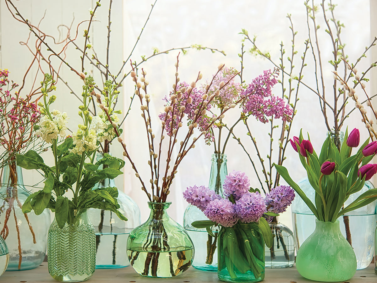 Spring Flowers in Glass Bottles III