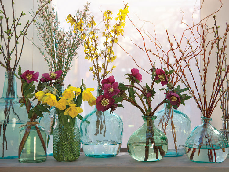 Spring Flowers in Glass Bottles IV