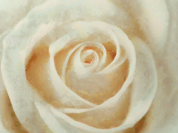 Arte de la lona de la rosa blanca