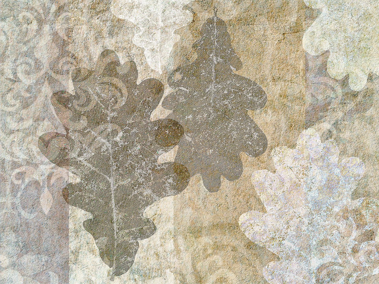 Autumn Leaves Oak