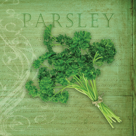 Classic Herbs Parsley Canvas Print