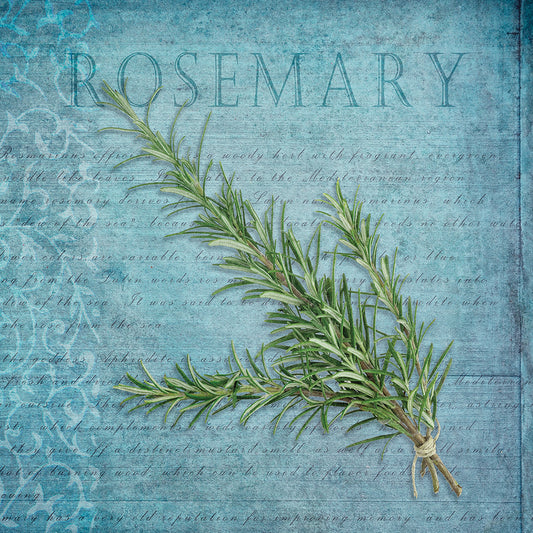 Classic Herbs Rosemary Canvas Print