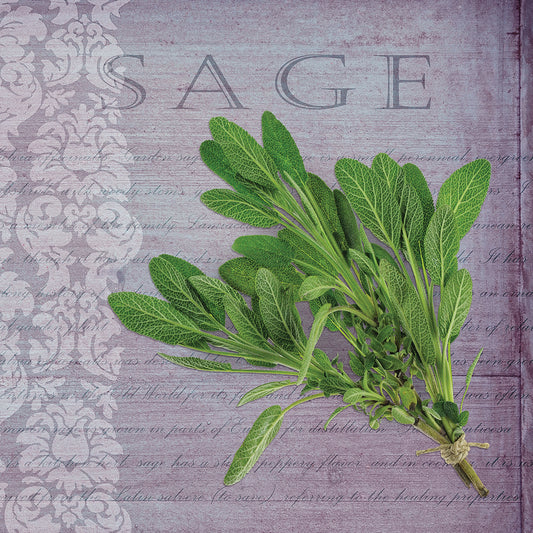 Classic Herbs Sage Canvas Print