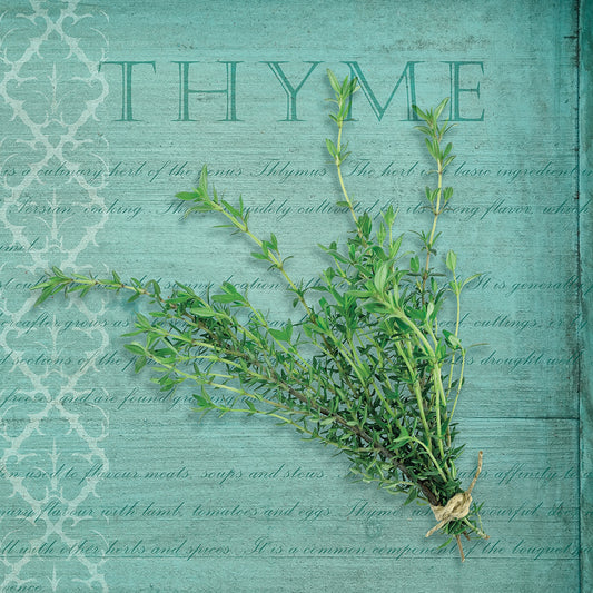 Classic Herbs Thyme Canvas Print