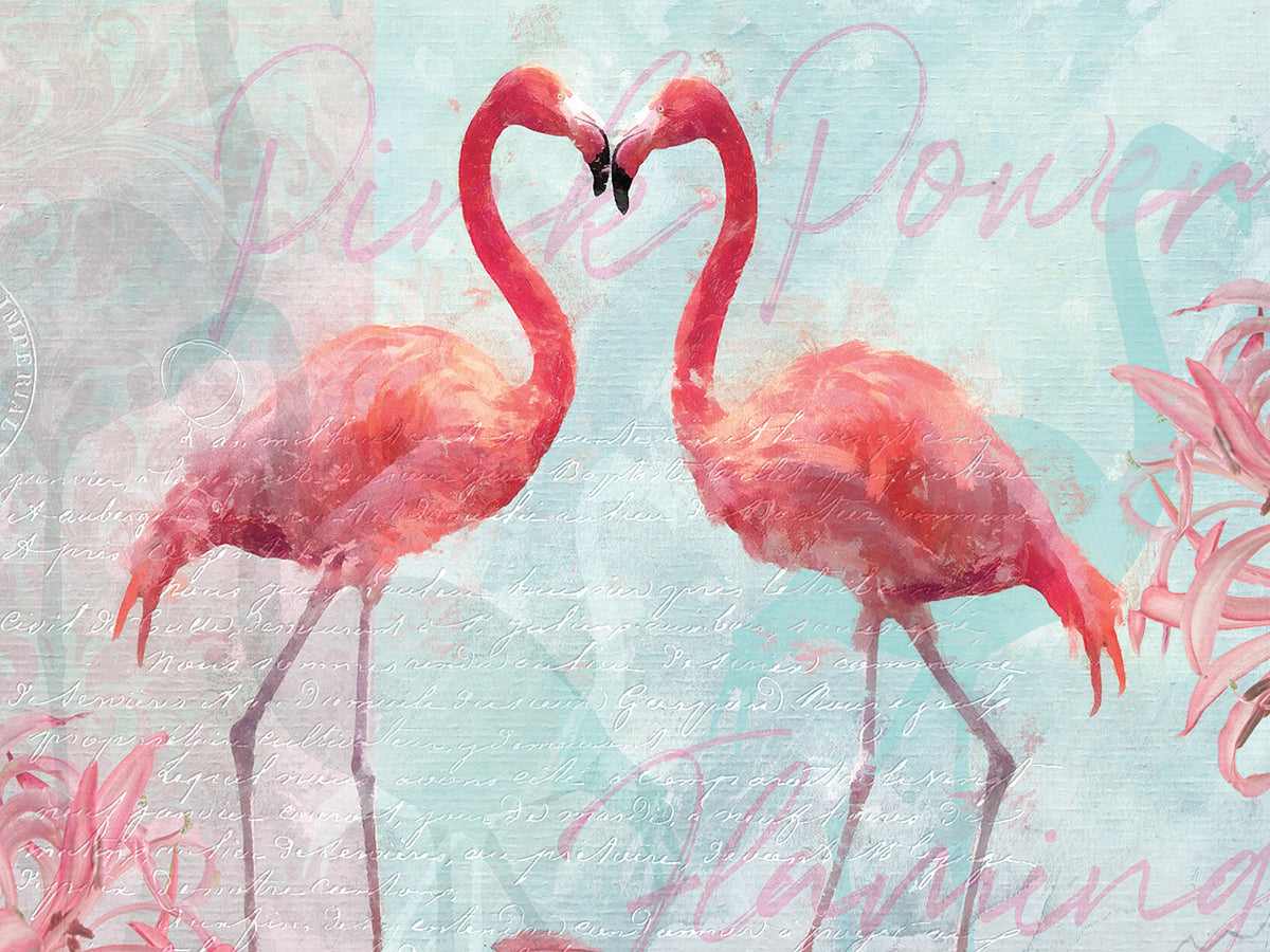 Flamingo Power