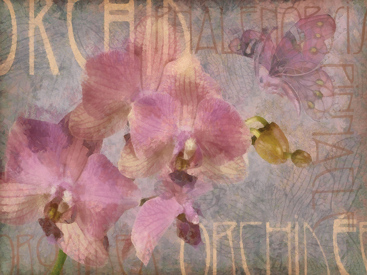 Orchid I
