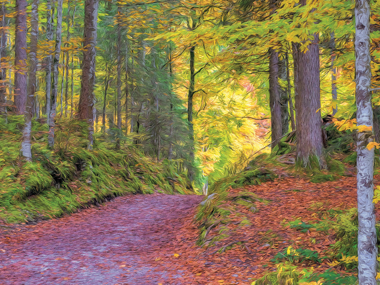 Wood Walk Painting