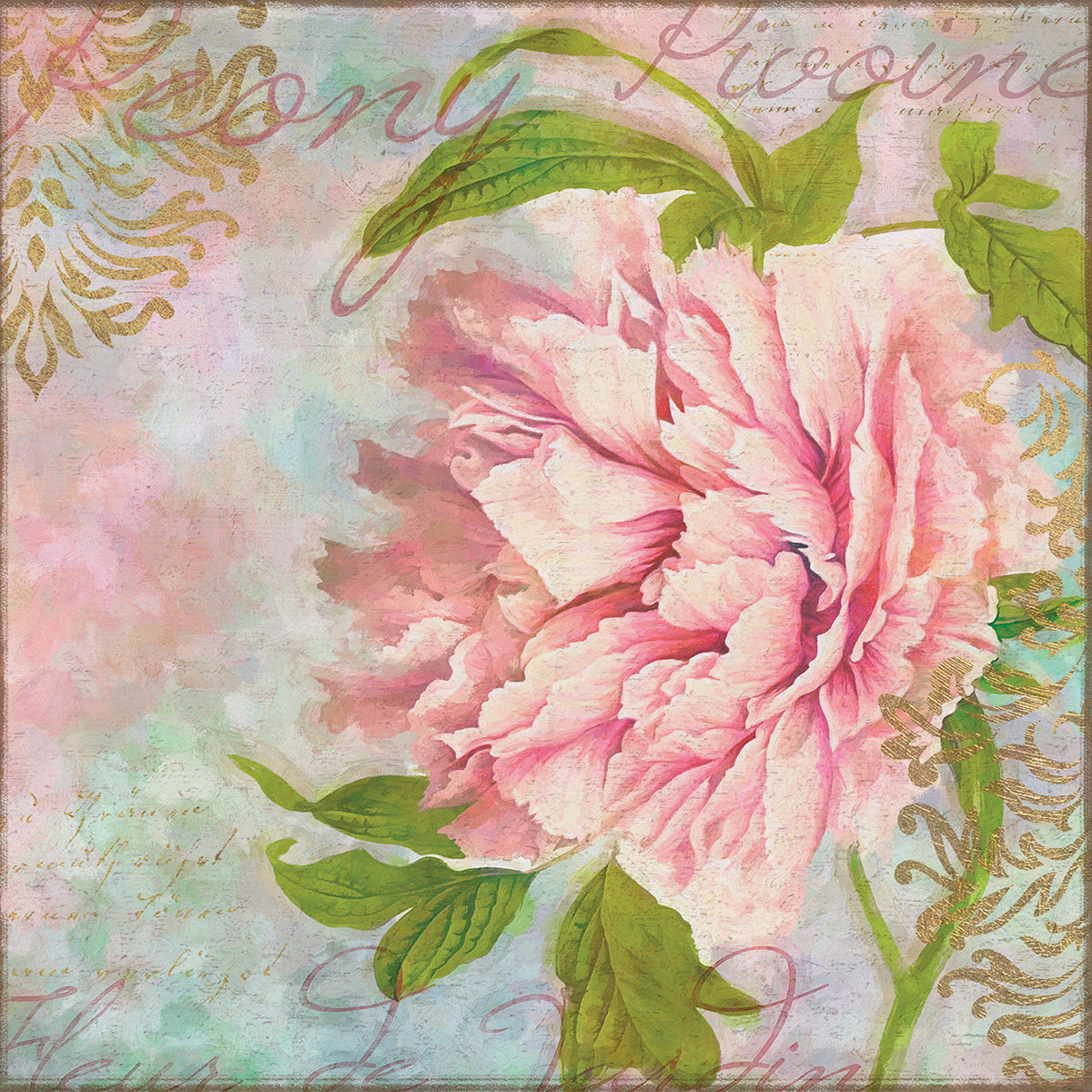 Peony