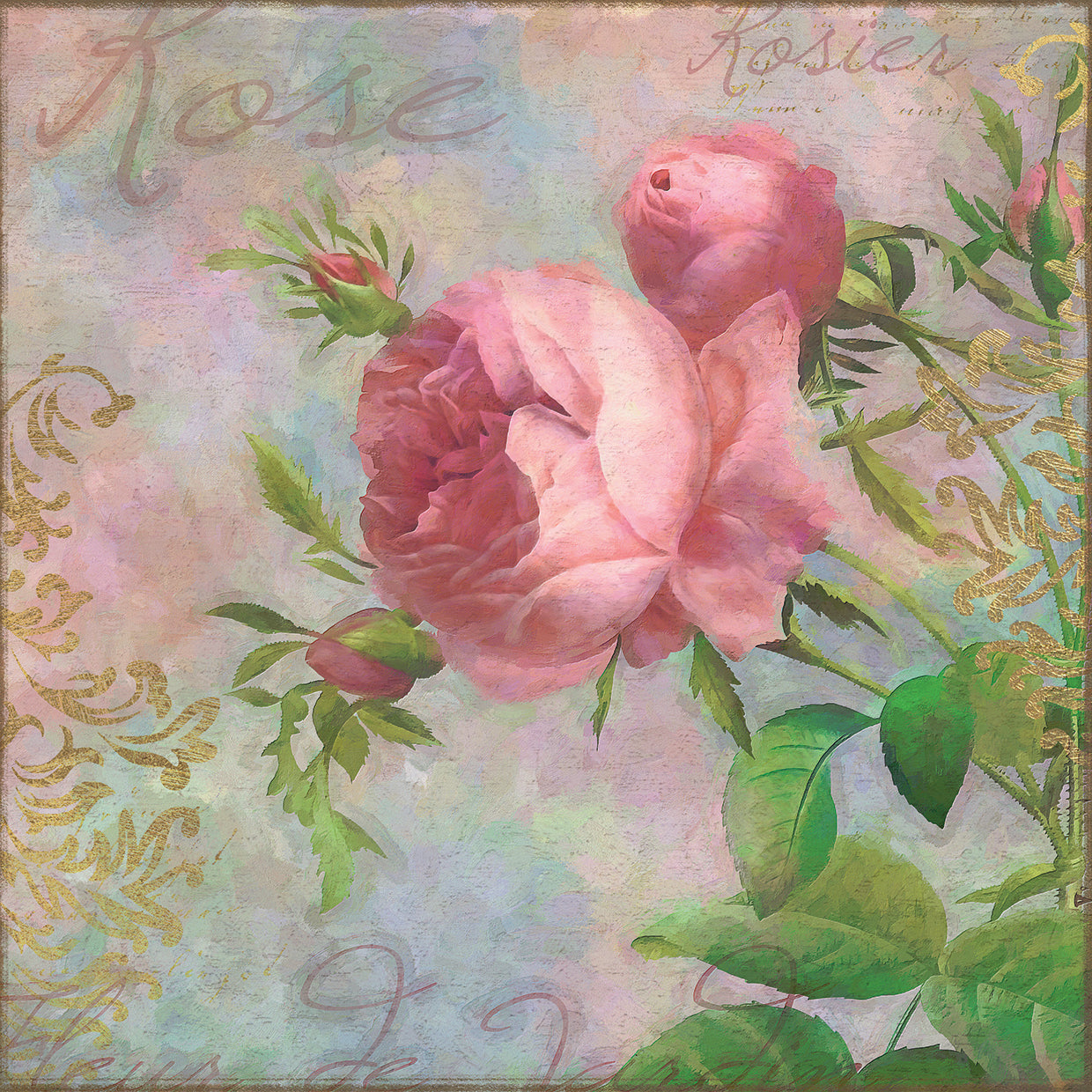 Arte de la lona de rosa