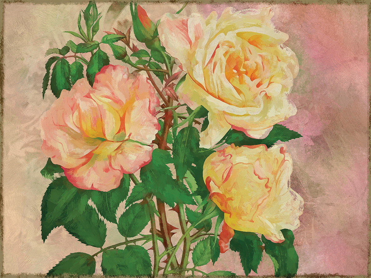 Yellow Roses