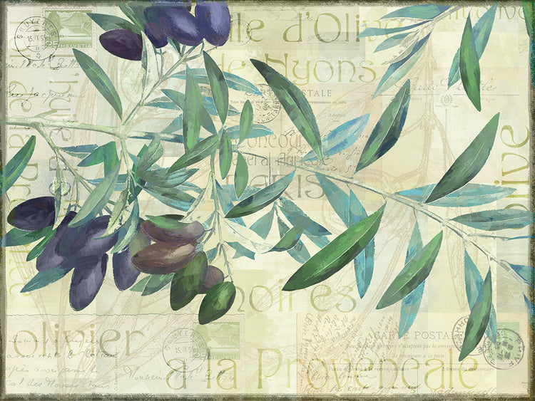 Lienzo Olives de Nyons