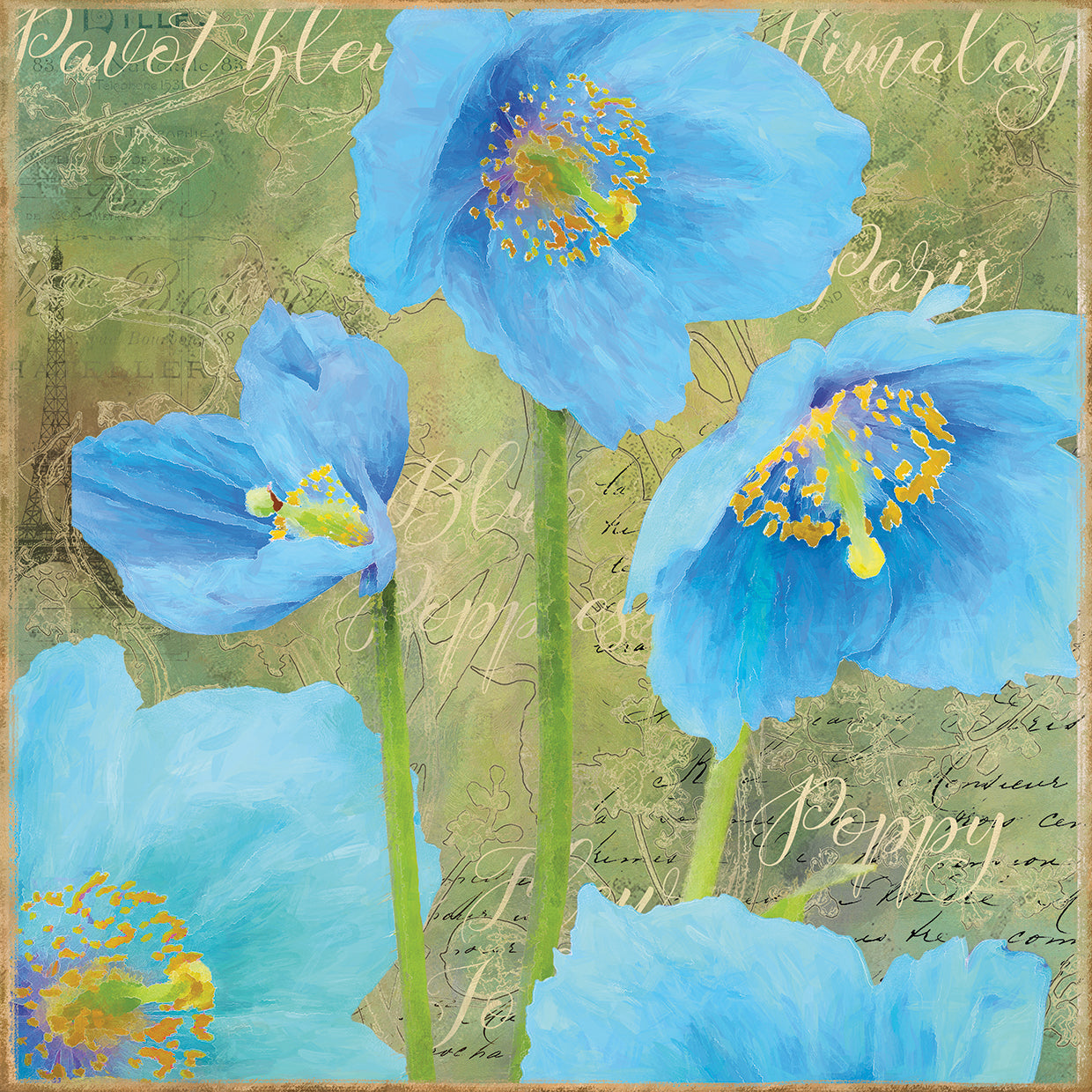 Blue Poppies