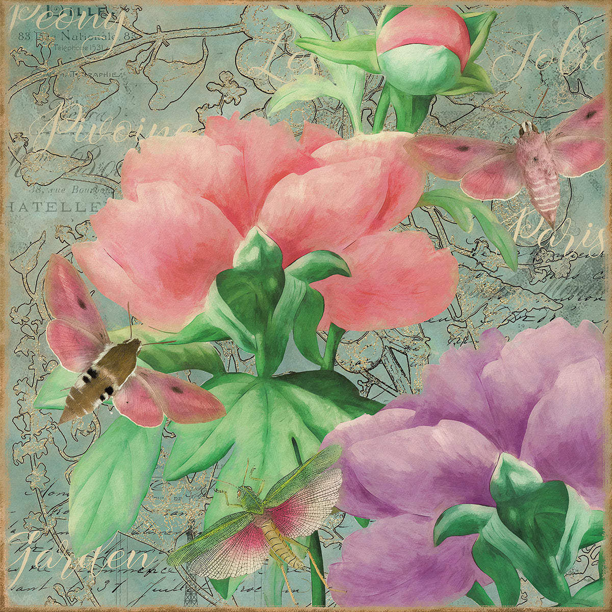 Pink Peonies