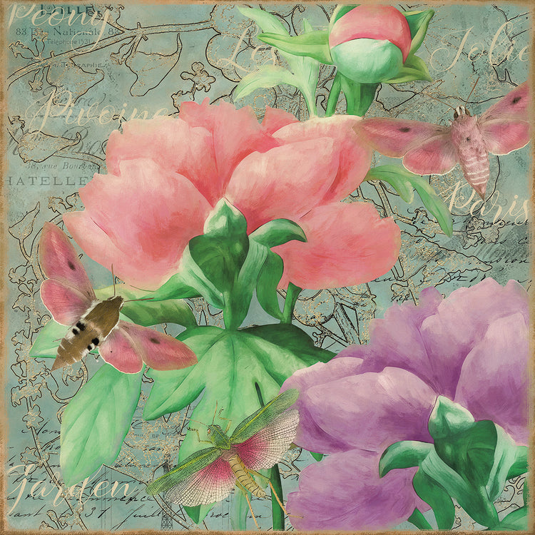 Arte de la lona de las peonías rosadas