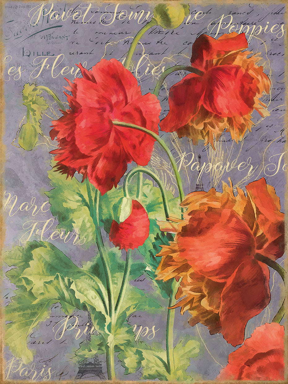 Red Poppies
